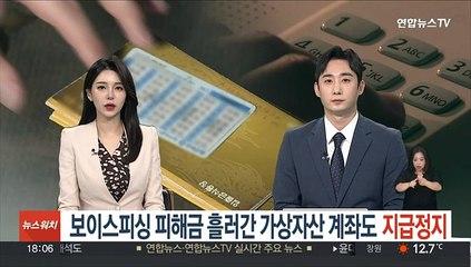보이스피싱 피해금 흘러간 가상자산 계좌도 지급정지