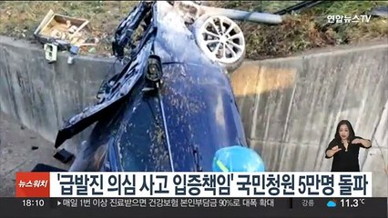 '급발진 의심 사고 입증 책임' 국민청원 5만명 돌파