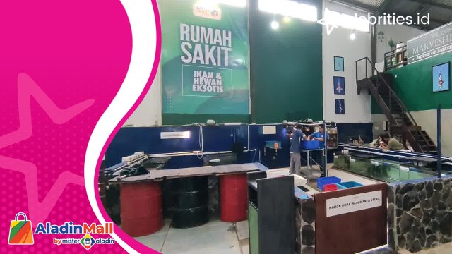 Intip Rumah Sakit Hewan Akuatik dan Eksotik, hanya ada di Kota Batu Jawa Timur