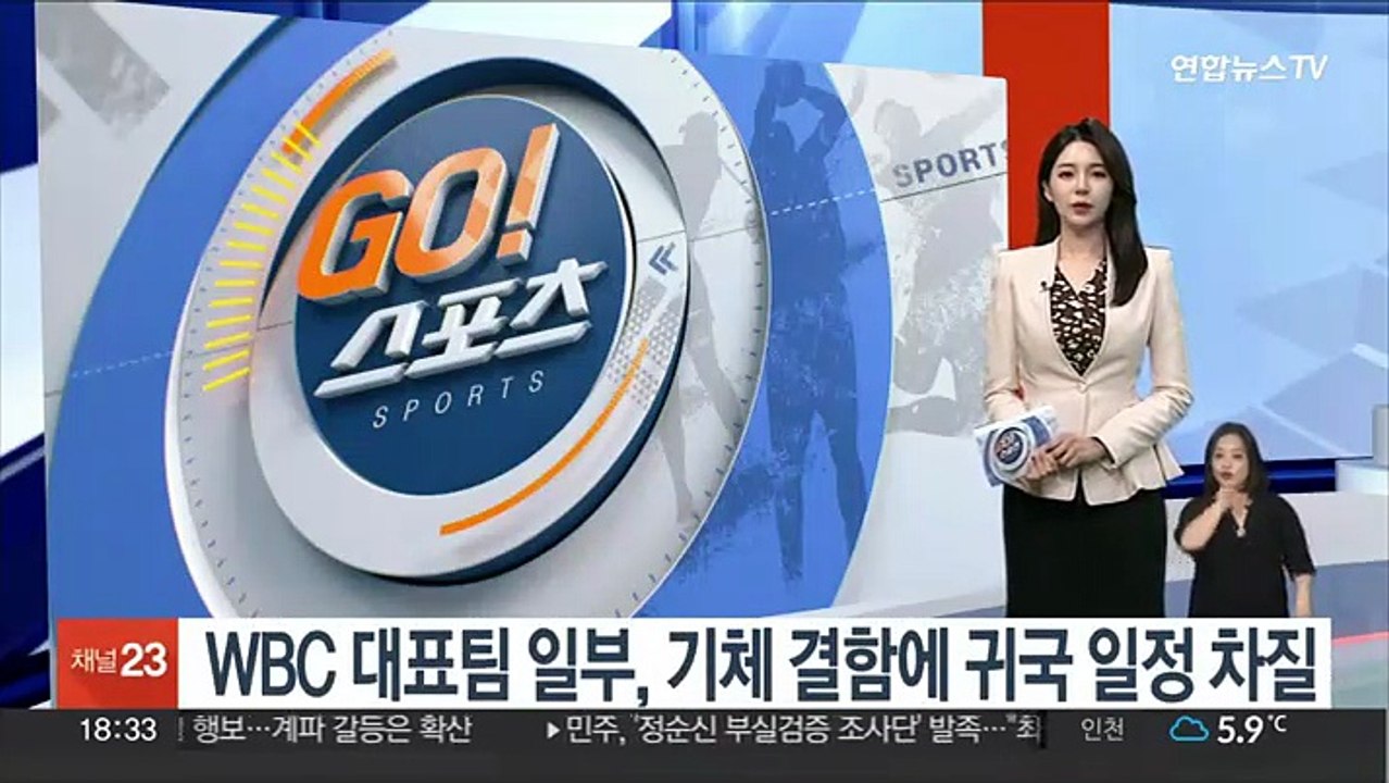 WBC 대표팀 일부, 기체 결함에 귀국 일정 차질