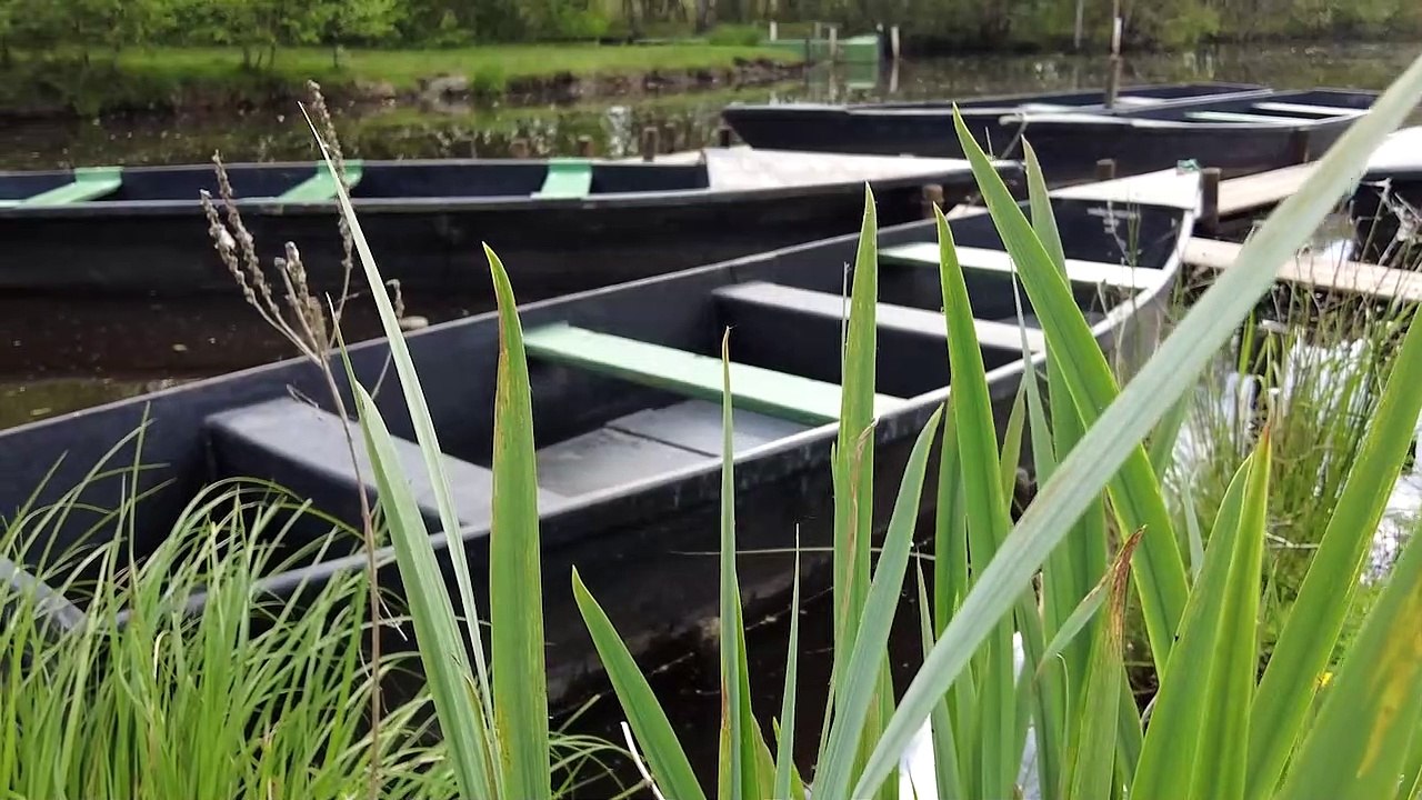 2022 Marais de la Brière, Saint Lyphard * Trigone Production