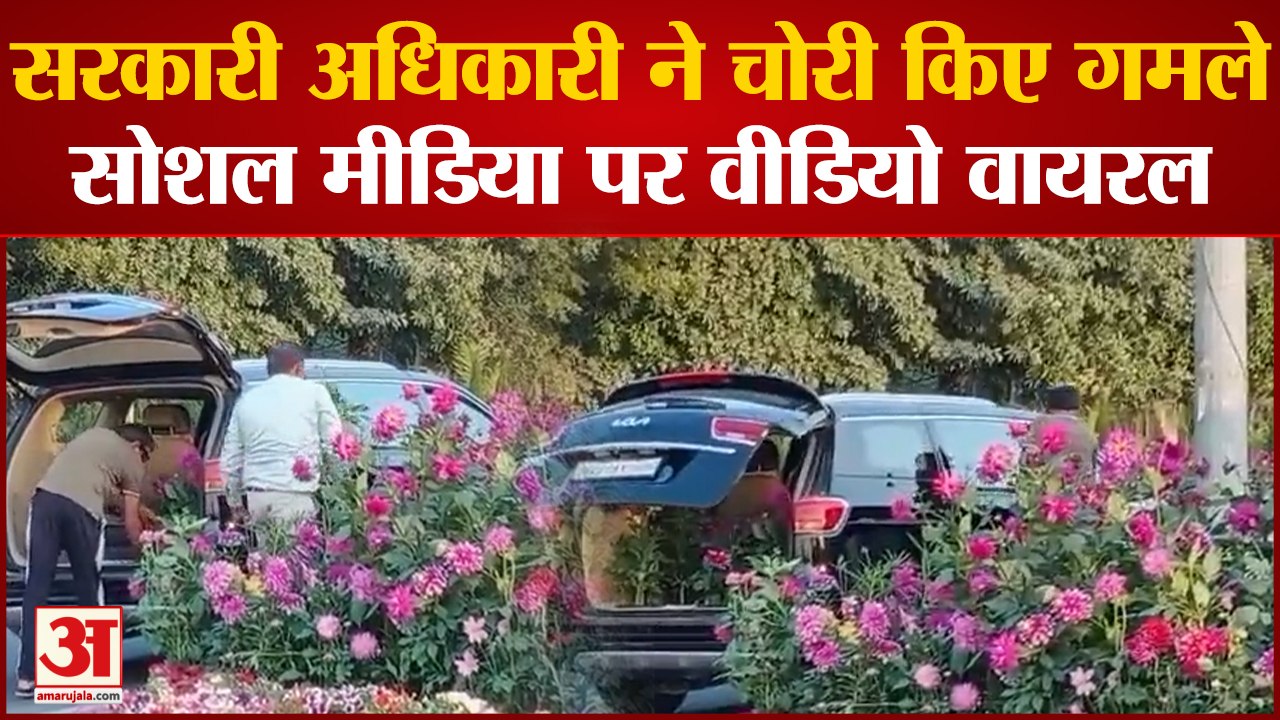 Gurugram News : लाखों की कार में बैठकर आए सरकारी अधिकारी, G20 समिट के लिए सजाए गमले चुरा ले गए
