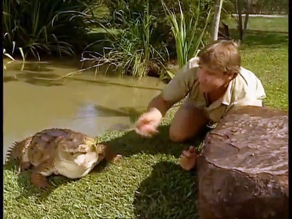 The Crocodile Hunter - Ep39 HD Watch