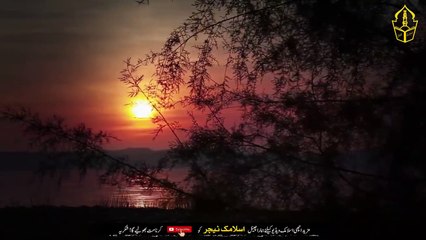 Put a clove of garlic in the wallet like this - 100% poverty will be eradicated - IT