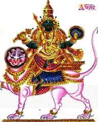 तुम्ही पण कबुतराला खायला घालताय कामग हे नियम पाळा अन्यथा