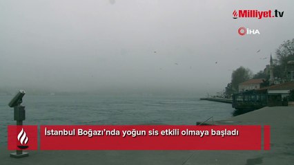 İstanbul Boğazı'nda yoğun sis