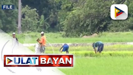 National Food Security Convergence Program, ipatutupad ng Marcos admin