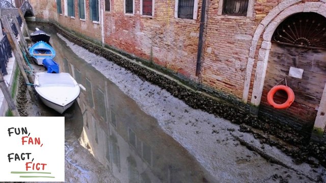 Did you know that there are no cars in Venice? | Fun, Fan, Fact, Fict
