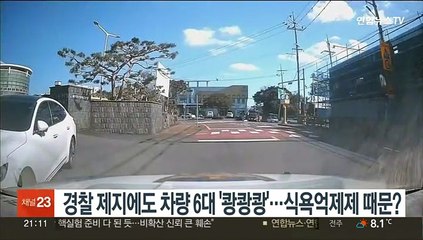 경찰 제지에도 차량 6대 '쾅쾅쾅'…식욕억제제 때문?