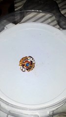 Spriggan Requiem Burst Beyblade Series