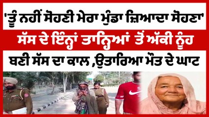 ਸੱਸ ਨੂੰਹ ਨੂੰ ਸੋਹਣੀ ਨਾ ਹੋਣ ਦੇ ਮਾਰਦੀ ਸੀ ਤਾਨ੍ਹੇ, ਬਣੀ ਸੱਸ ਦਾ ਕਾਲ, ਉਤਾਰਿਆ ਮੌਤ ਦੇ ਘਾਟ | OneIndia Punjabi