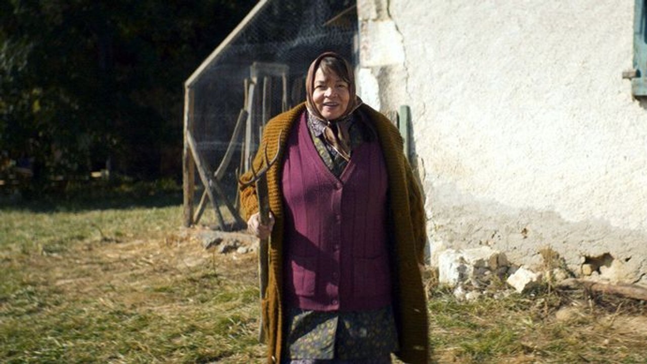 Les Vieux Fourneaux 2 : bons pour l'asile