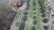 Fay hattının ikiye böldüğü çiftlik 4 metre aşağı çöktü, havadan böyle görüntülendi