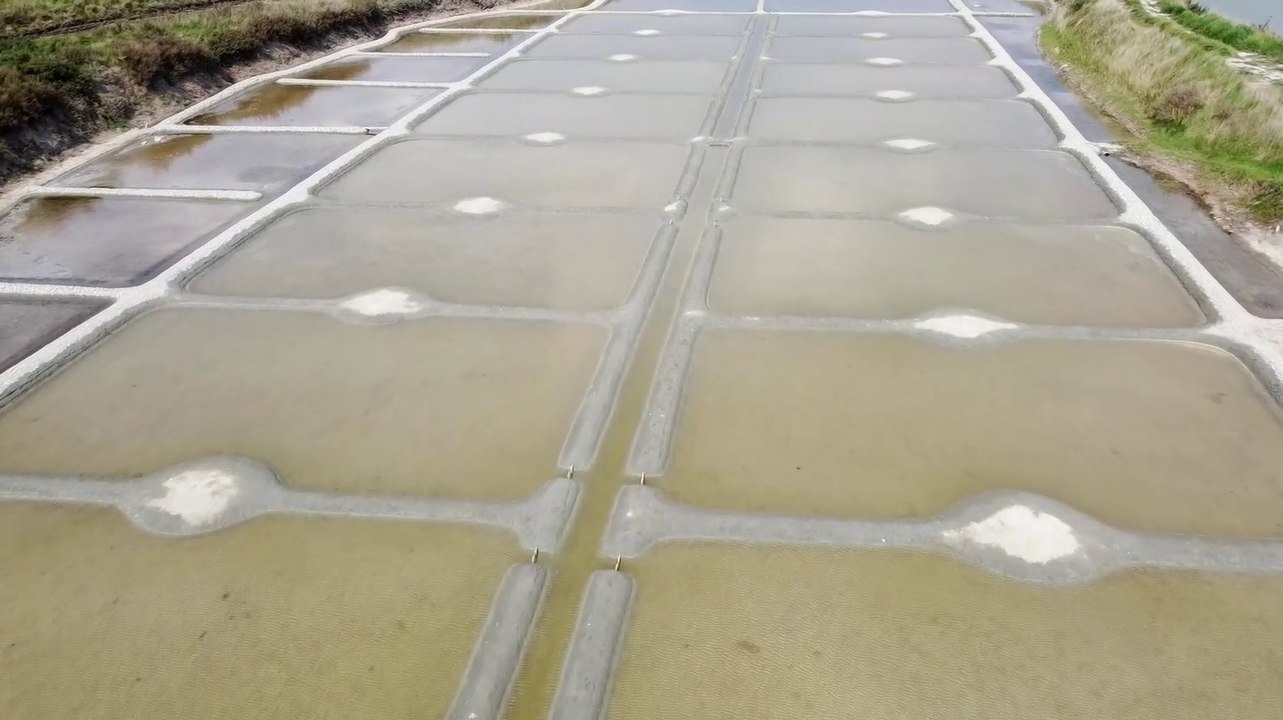 2022 Marais salants de Guérande * Trigone Production