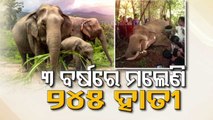 Elephant deaths on rise in Odisha- 6 jumbos found dead in one year in Kuldiha sanctuary