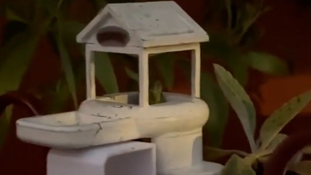 TikToker shares ‘crazy journey’ of building a tiny 3D-printed house for a frog