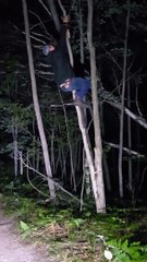 Tree Swinging Fail