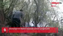 Osmaniye'nin Kadirli ilçesinde orman yangını