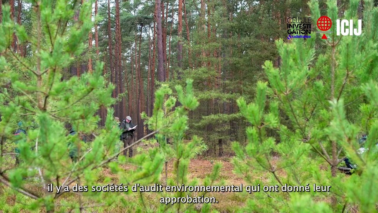 Deforestation Inc : Une enquête internationale révèle les failles de règlementation du commerce du bois