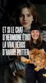 Et si le chat d'Hermione était le vrai héros d'Harry Potter ?