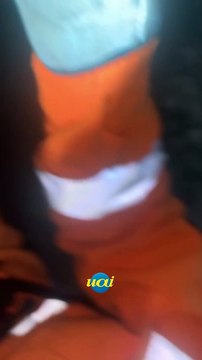 Cachorrinho de 10 dias fica preso em tubulação e é salvo pelos bombeiros; veja imagens