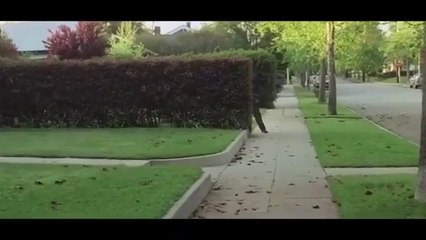 Halloween/Michael Myers - tribute video