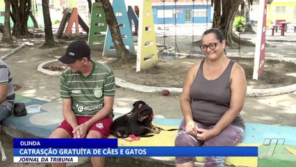 Castração gratuita de cães e gatos