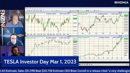 Tesla Investor Day Preview