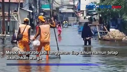 Lagi, Banjir Rob Kembali Terjang 11 RT di Kawasan Muara Angke