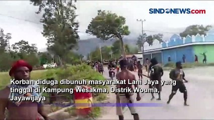 Perang Antar Suku di Papua, 40 Honai Terbakar dan 1 Orang Meninggal