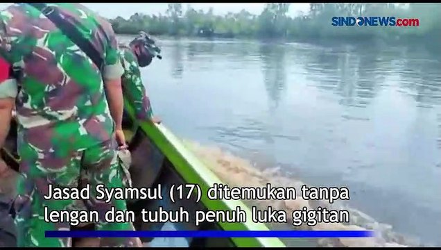 Jasad Pemuda Diterkam Buaya Ditemukan Penuh Luka Gigitan di Sungai Sebangau Kuala