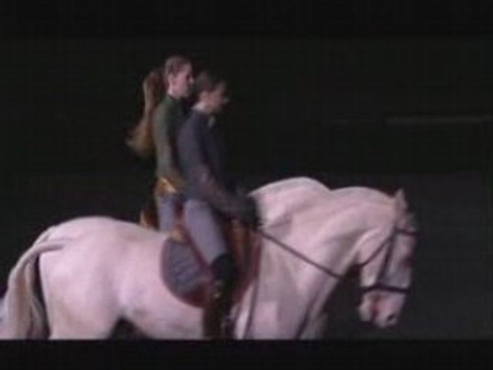 Bartabas recital equestre