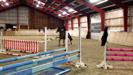 Fall During A Horse Jumping Lesson
