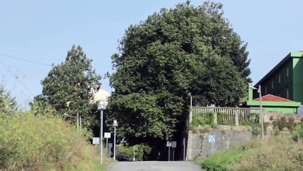 Bienvenido Mr. Banksy | movie | 2021 | Official Teaser