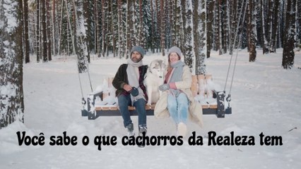 O Treinamento Real: Cuidados e Educação dos Cachorros da Realeza