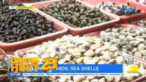 UH Palengke Finds- Sea shells sa palengke, iisa-isahin ni Chef JR Royol | Unang Hirit