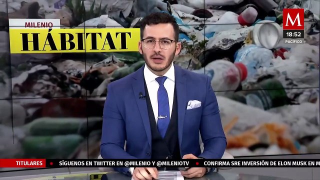 Inicia antes de lo previsto la temporada de sargazo en Quintana Roo | Milenio Hábitat