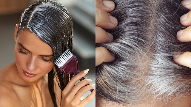 दही लगाने से बाल सफ़ेद होते हैं क्या | Dahi Lagane Se Baal Safed Hote Hai Kya | Boldsky