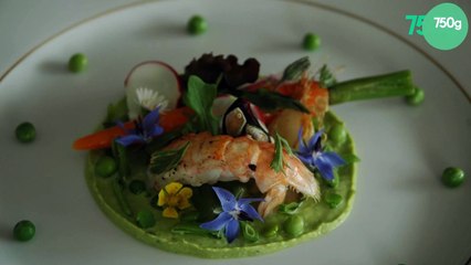 Langoustine sur un lit de petits pois, printanière de légumes