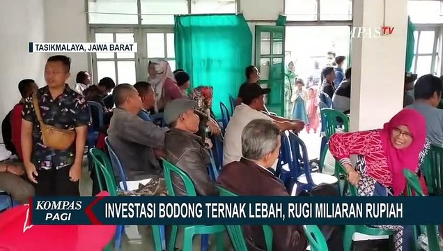 Warga Tasikmalaya Jadi Korban Investasi Bodong Ternak Lebah, Rugi Hingga Miliaran Rupiah!