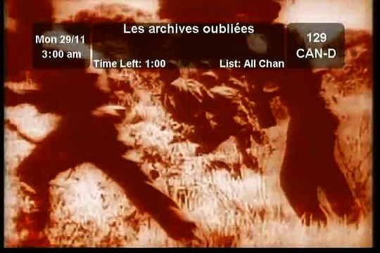 Les Archives Oubliées - Arche de Noé
