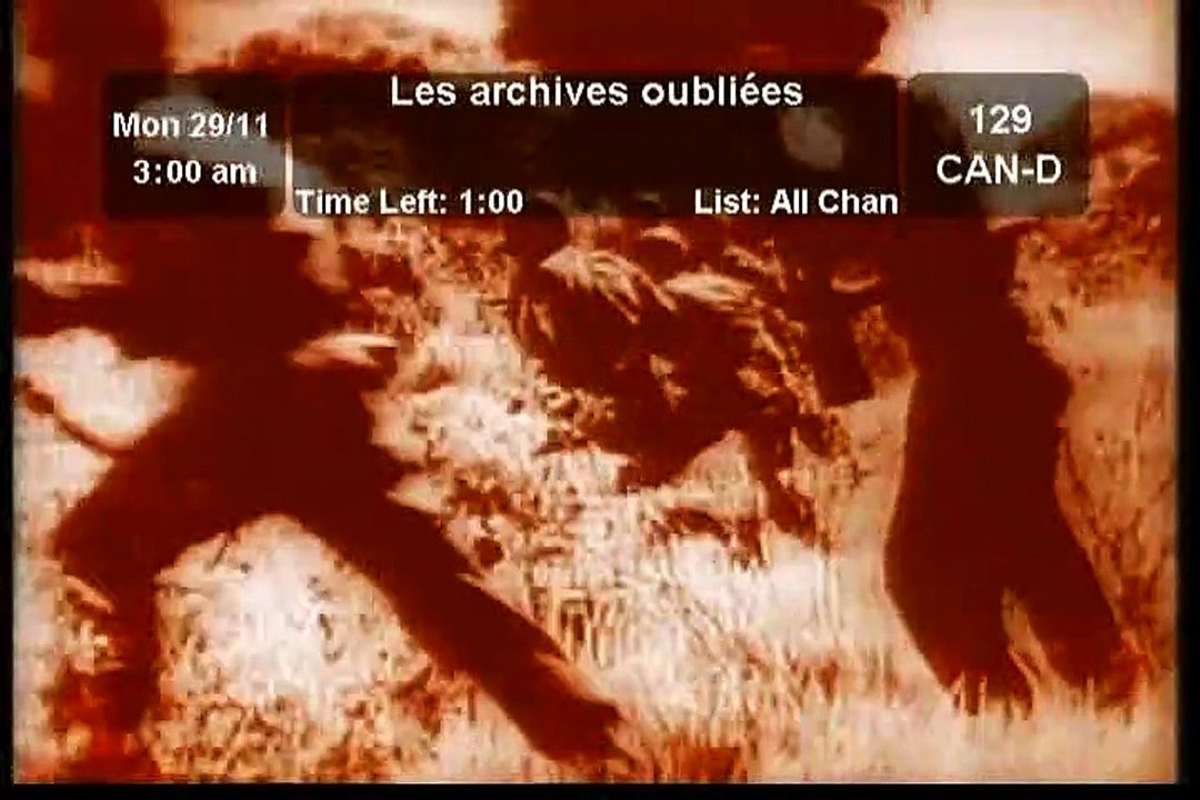 Les Archives Oubliées - Arche de Noé