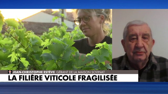 Jean-Christophe Estève : «Les exportations qui ont fait la réputation du vin français concernent les grands châteaux et elles continuent à très bien fonctionner»