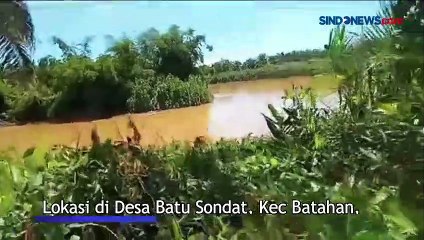 Download Video: Buaya Muncul di Sungai Dekat Kebun Sawit, Warga Mandailing Natal Resah