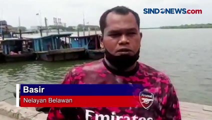 Download Video: Warga Medan Geger, Nelayan Temukan Buaya Muara di Laut