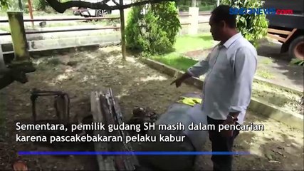 Gudang Penimbun BBM Ilegal Terbakar di Madina, Pemilik Kabur