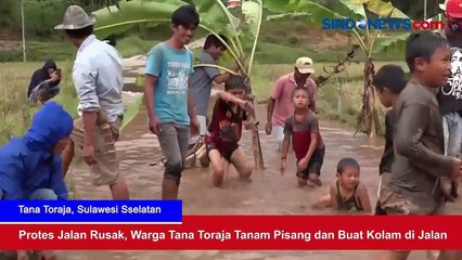 Tana Toraja, Sulawesi Selatan, Protes Jalan Rusak, Kolam, Tanam Pisang
