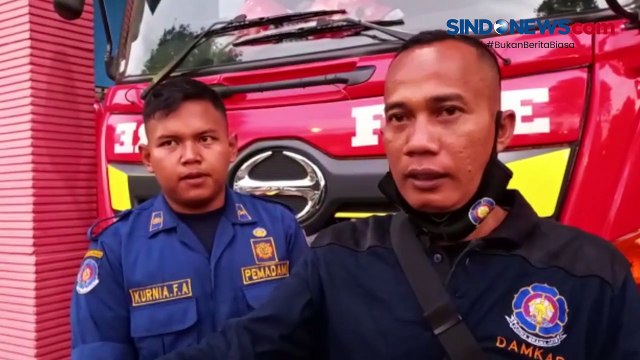 Evakuasi Ular dan Kawanan Monyet Serang Pemukiman Warga