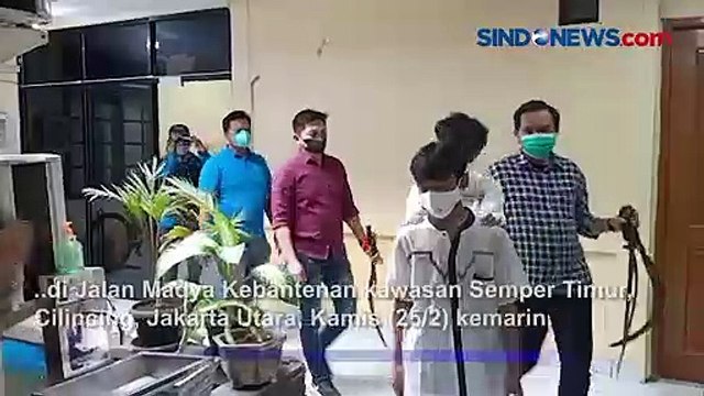 Tawuran, Polisi Tangkap Pelaku Bercelurit di Cilincing