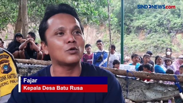 Heboh, Detik-Detik Penangkapan Buaya Muara Berukuran 4 Meter di Babel